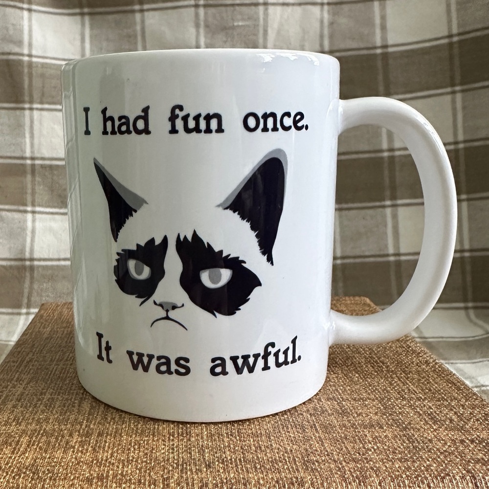 Grumpy Cat White Ceramic Mug “I Had Fun Once”